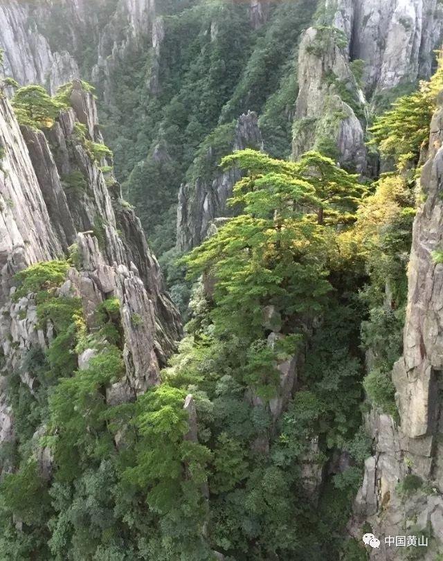 国网利辛县供电公司:首座110千伏智能变电站成功投运